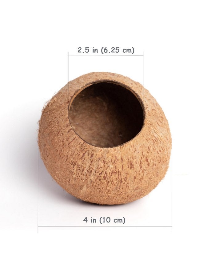 Generic Generic Coconut shelter for Aquarium Fish and Shrimp, ancistrus, pleco, a Ledge for Spider, Lizard, Snail, Frog, Turtle Platform, Habitat Made from Coconut Shell for Resting and Breeding, Brown - Image 3