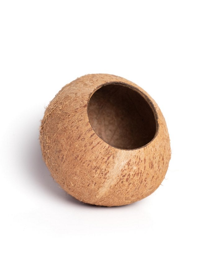 Generic Generic Coconut shelter for Aquarium Fish and Shrimp, ancistrus, pleco, a Ledge for Spider, Lizard, Snail, Frog, Turtle Platform, Habitat Made from Coconut Shell for Resting and Breeding, Brown - Image 1