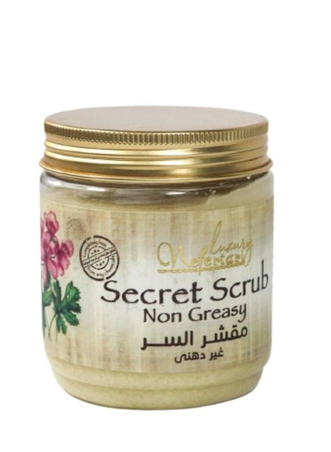 نيفيرتاري مقشر الجسم ذا سيكريت من نفرتاري – للجنسين – تقشير طبيعي وترطيب عميق – 290 جم - Image 1