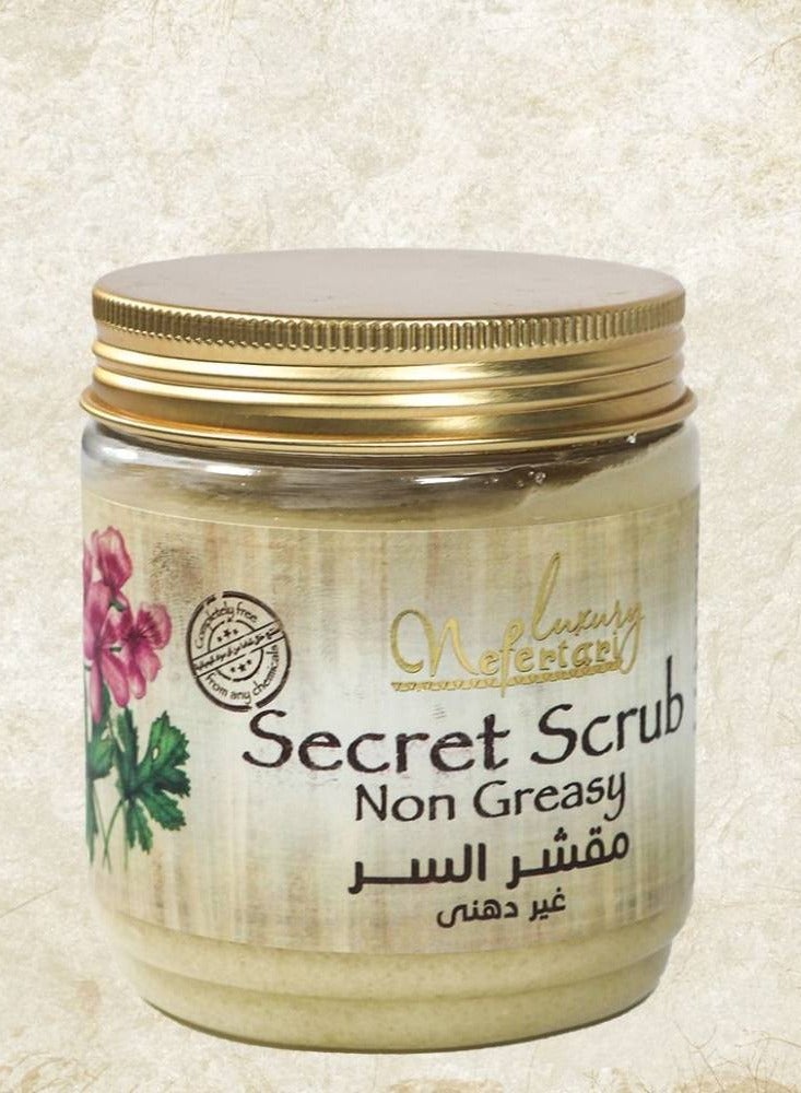 نيفيرتاري مقشر الجسم ذا سيكريت من نفرتاري – للجنسين – تقشير طبيعي وترطيب عميق – 290 جم - Image 2