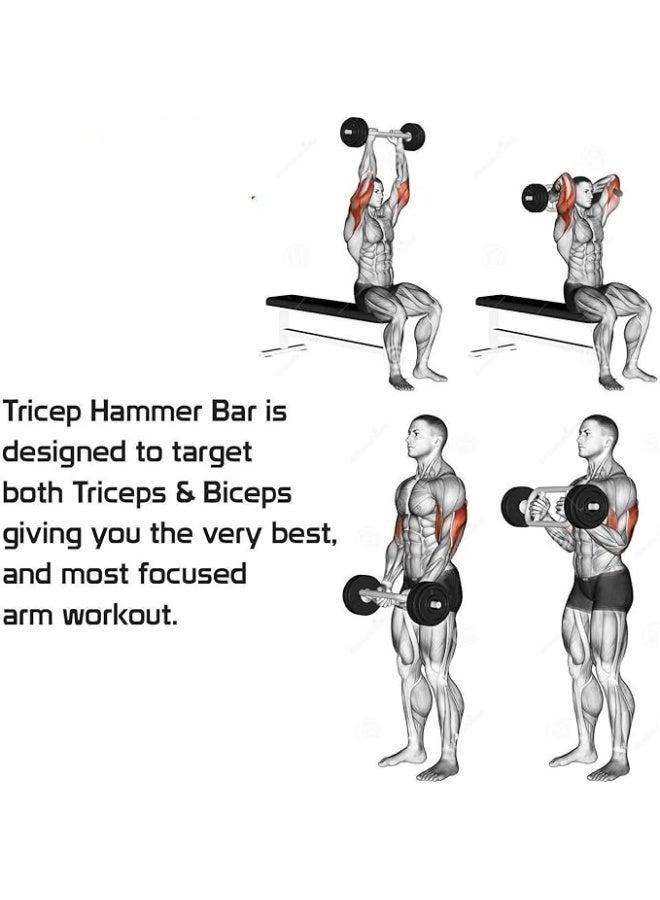 إليت ترايسبس بار - Image 3