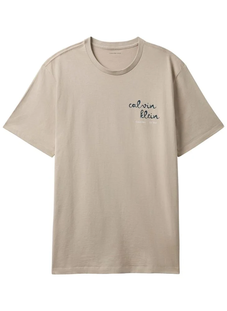 Calvin Klein Jeans Plaza Taupe Graphic Logo T-Shirt for Men | Best Price UAE