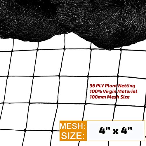 WORLD NET ENTERPRISE Wne Jaliwale Plant Climbing Net & Creeper Support For Agriculture And Gardening Netting Black Colour 6Ft X 3 Ft - Image 3