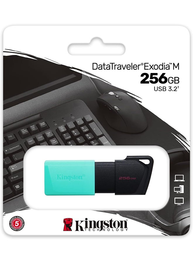 كينغستون 256GB DataTraveler Exodia M USB 3.2 Gen 1 BLACK + TEAL DTXM/256GB - Image 3