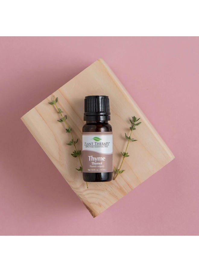 Plant Therapy زيت الزعتر ثيمول الأساسي 100% نقي، غير مخفف، طبيعي للعلاج بالروائح، درجة علاجية 30 مل (1 أونصة) - Image 3
