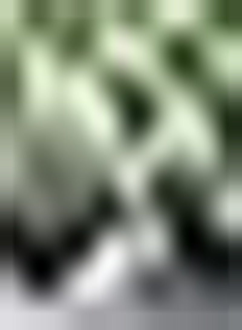 GGOOT 50 Cantaloupe Samen Hohe Keimrate im Gartenhof gepflanzt Starke Anpassungsfähigkeit brauchen Nicht viel Pflege genießen Sie die Freude an der Ernte - Image 1