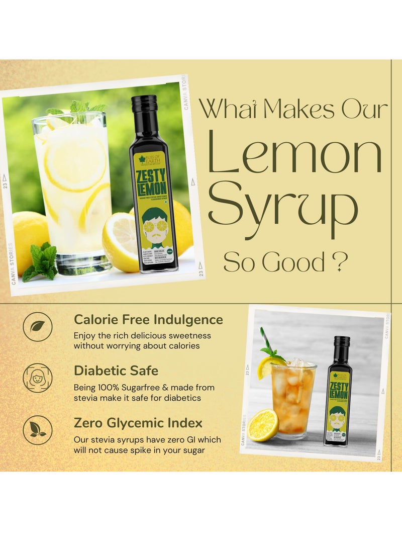 BLISS OF EARTH Lemon Syrup Sugarfree For Drinks Flavor Enhancer Stevia Sweetened Diabetic Safe Zero Calorie 2x500ml  - Image 4