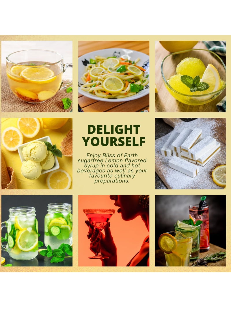 BLISS OF EARTH Lemon Syrup Sugarfree For Drinks Flavor Enhancer Stevia Sweetened Diabetic Safe Zero Calorie 2x500ml  - Image 5