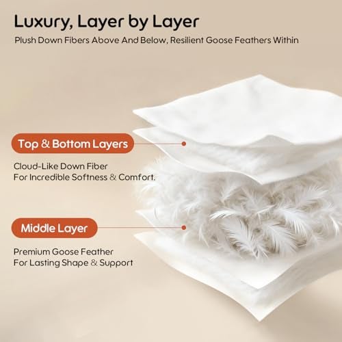 Swandream Goose Feather and Down Bed Pillows Queen Size Set of 2, Luxury 3-Chamber Pillows with Soft & Down-Proof Cover, Fluffy Plush Hotel Bed Pillows for Side, Back & Stomach Sleepers - Image 2