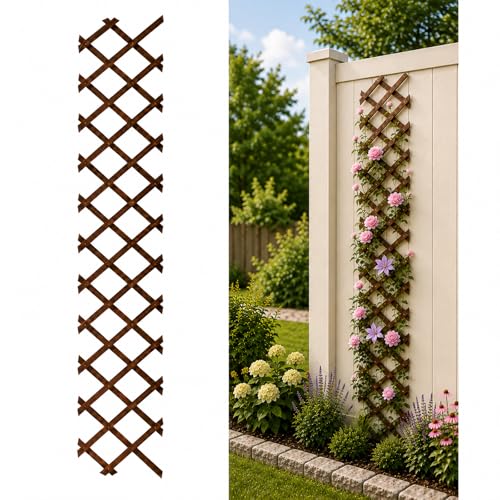 Tilinyan & one Expandable Garden Trellis 131 x 67 Trellis for Climbing Plants Outdoor Wooden Lattice Fence Wall Panel Lattice Panels for Outside for Climbing Plants Vine Ivy Rose Cucumbers Clematis1PC - Image 1