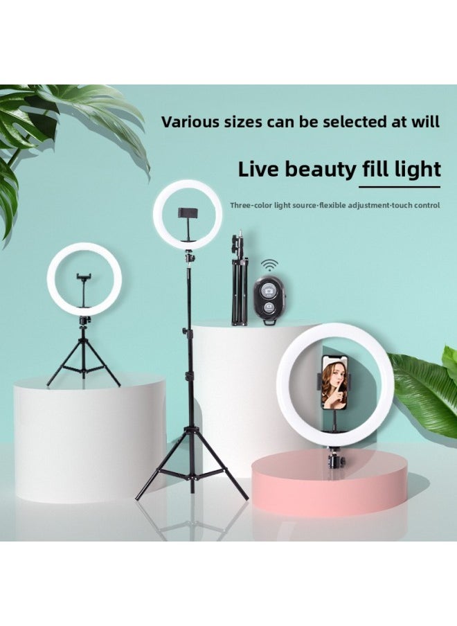 General - 10 Inch Fill Light Source Manufacturers LED Net Red Live Photography Light Mobile Phone Desktop Self-timer Beauty Light Set-Color:10 Inch Fill Light (single Lamp) - Image 1