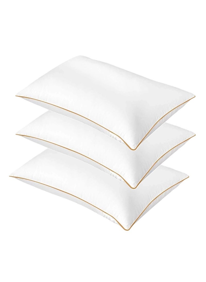 Blueberry 3 Piece Pack Classic Golden Edge Single Piping Pillow 50x70cm Made in Uae - Image 1