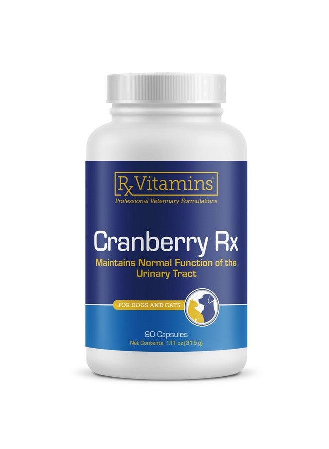 ركس فيتامينز كبسولات التوت البري من RX Vitamins - مكمل غذائي من التوت البري للكلاب والقطط - يدعم صحة المسالك البولية والمثانة - علاج التهاب المسالك البولية للقطط والوقاية منه للكلاب - تعزيز المناعة - 90 كبسولة - Image 1