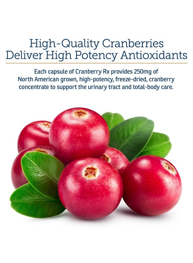 ركس فيتامينز كبسولات التوت البري من RX Vitamins - مكمل غذائي من التوت البري للكلاب والقطط - يدعم صحة المسالك البولية والمثانة - علاج التهاب المسالك البولية للقطط والوقاية منه للكلاب - تعزيز المناعة - 90 كبسولة - Image 4