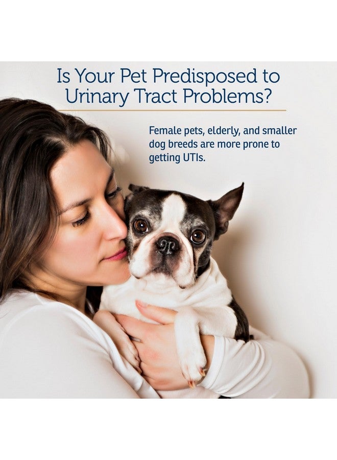 ركس فيتامينز كبسولات التوت البري من RX Vitamins - مكمل غذائي من التوت البري للكلاب والقطط - يدعم صحة المسالك البولية والمثانة - علاج التهاب المسالك البولية للقطط والوقاية منه للكلاب - تعزيز المناعة - 90 كبسولة - Image 5