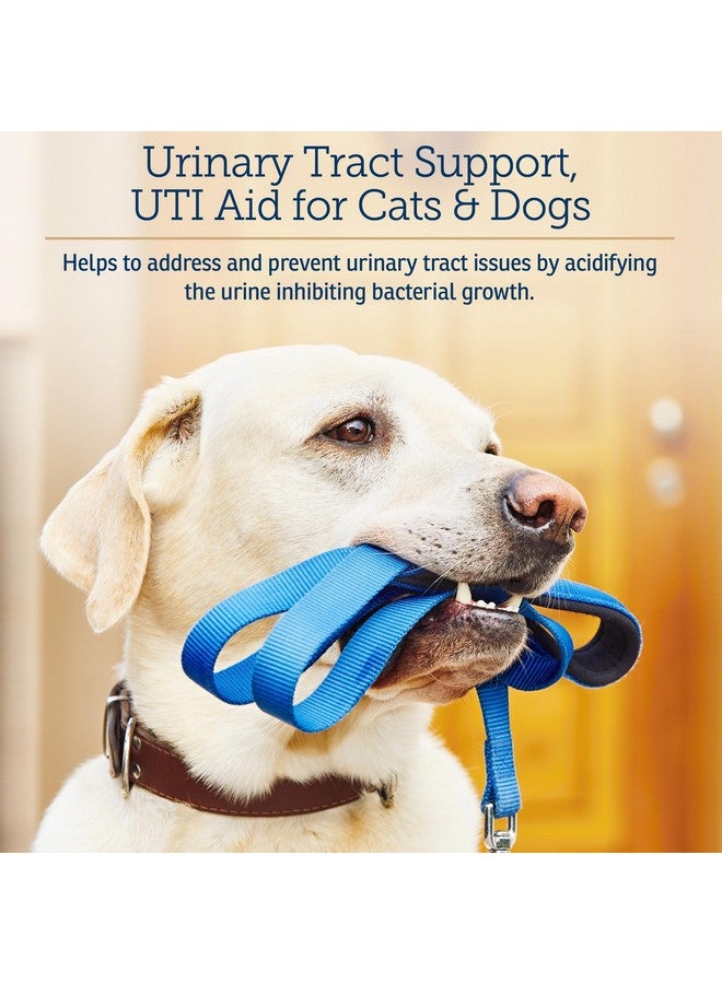 ركس فيتامينز كبسولات التوت البري من RX Vitamins - مكمل غذائي من التوت البري للكلاب والقطط - يدعم صحة المسالك البولية والمثانة - علاج التهاب المسالك البولية للقطط والوقاية منه للكلاب - تعزيز المناعة - 90 كبسولة - Image 3