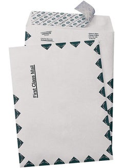 Quality Park Survivor R1670 Tyvek Usps First Class Mailer 10 X 15 White (Box Of 100)  - Image 2