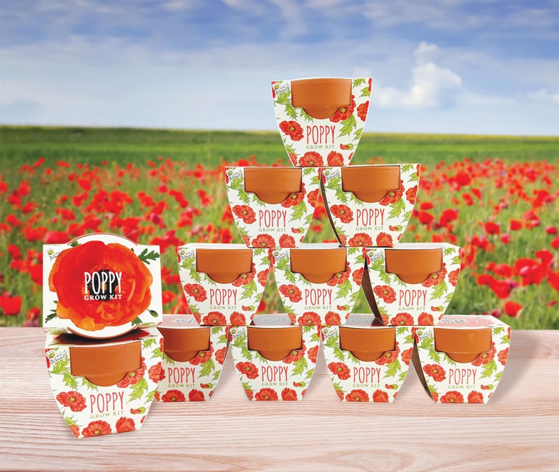BUZZY Seeds 12-Pack Poppy Grow Kit â€“ Mini Terracotta Pots with Poppy Seeds and Growing Medium â€“ Bulk Gardening Gifts, Wedding Favors, Classroom Activities, and Party Favor Flower Kits - Image 4