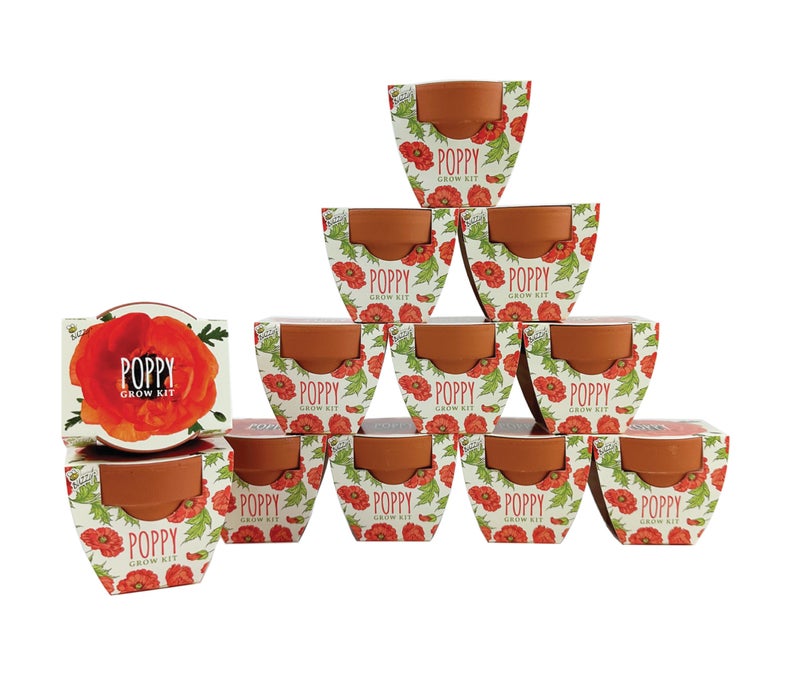 BUZZY Seeds 12-Pack Poppy Grow Kit â€“ Mini Terracotta Pots with Poppy Seeds and Growing Medium â€“ Bulk Gardening Gifts, Wedding Favors, Classroom Activities, and Party Favor Flower Kits - Image 1