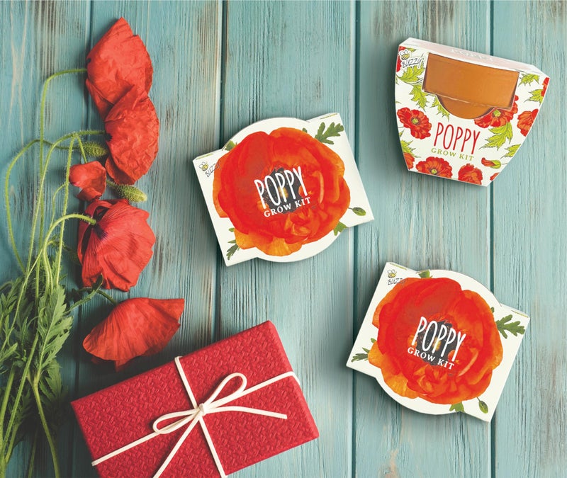 BUZZY Seeds 12-Pack Poppy Grow Kit â€“ Mini Terracotta Pots with Poppy Seeds and Growing Medium â€“ Bulk Gardening Gifts, Wedding Favors, Classroom Activities, and Party Favor Flower Kits - Image 5