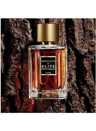 Absolute By Elite Gentleman  EDT 50ml - pzsku/ZC3E6DDE311C84DFCAF4DZ/45/_/1717233338/378b3e60-4f0d-436b-a262-abd0e2019060