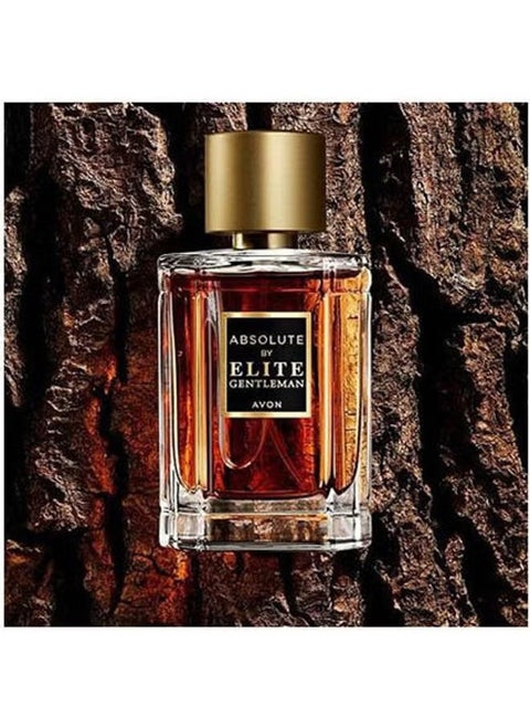 Absolute By Elite Gentleman  EDT 50ml