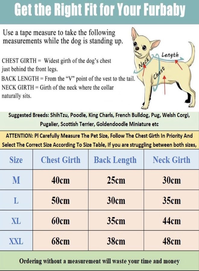 PETANGEL French Bulldog Fleece Shirt,Soft Flannel Stripes Pattern Button Closure Dog Sweatshirt,Winter Warm Thermal Jammie Clothes for Puppy French Bulldog,Pug Corgi(Size:XL, Chest:60cm,Length:35cm) - Image 4