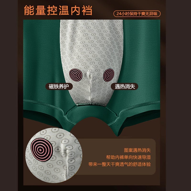 H Light Luxury High-End Men'S Shorts Magnetic Plus Size Modal Boxer Panties Boys Boxer Pants Shake Tone Same Style - Image 4