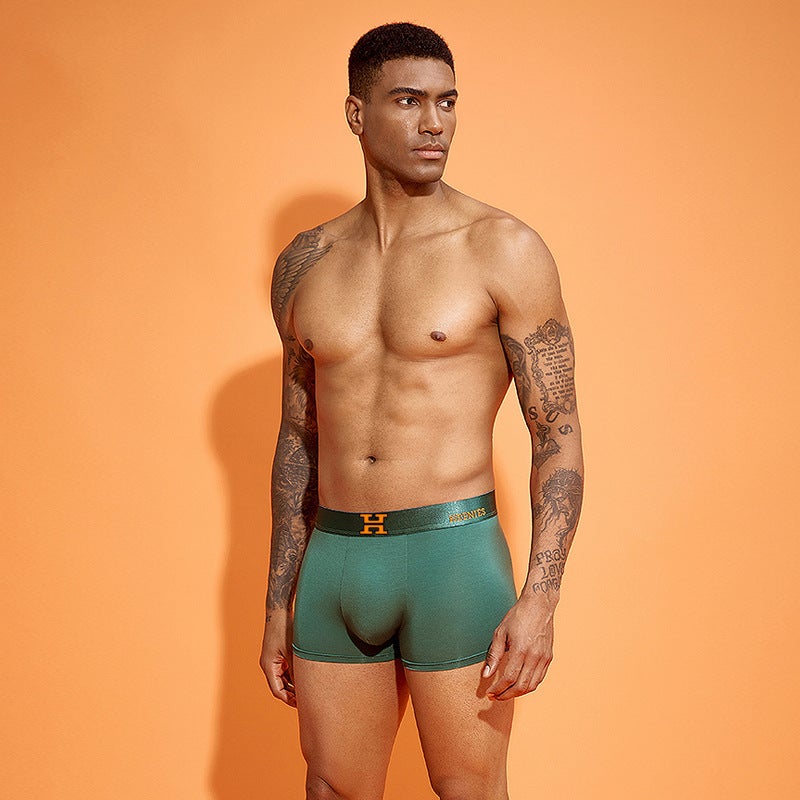 H Light Luxury High-End Men'S Shorts Magnetic Plus Size Modal Boxer Panties Boys Boxer Pants Shake Tone Same Style - Image 5