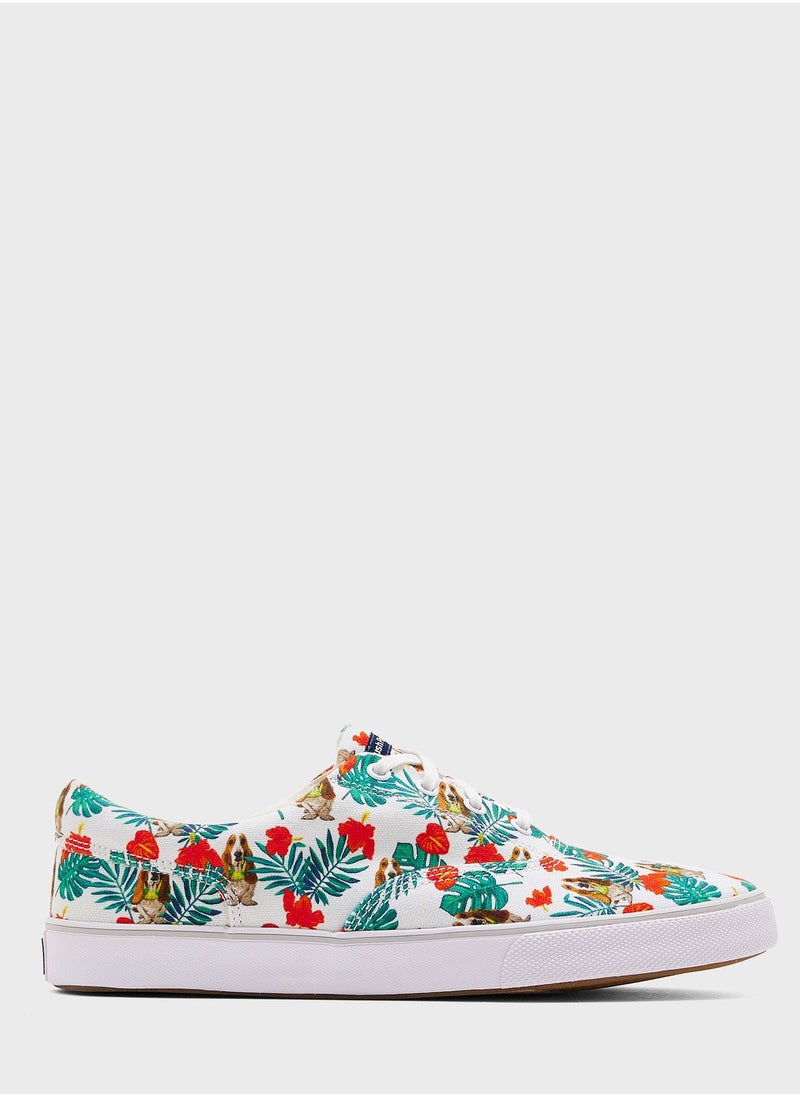 Hush Puppies - Casual Lace Ups Shoes - Image 1