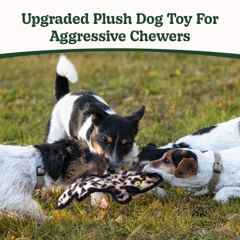 SHARLOVY No Stuffing Dog Toys Crinkle Squeaky, Long Lasting Chews for Aggressive, Durable Plush Dog Puppy Chew Toys for Teething, with 6 Tough Layers for Small Medium Large Breed - Image 2