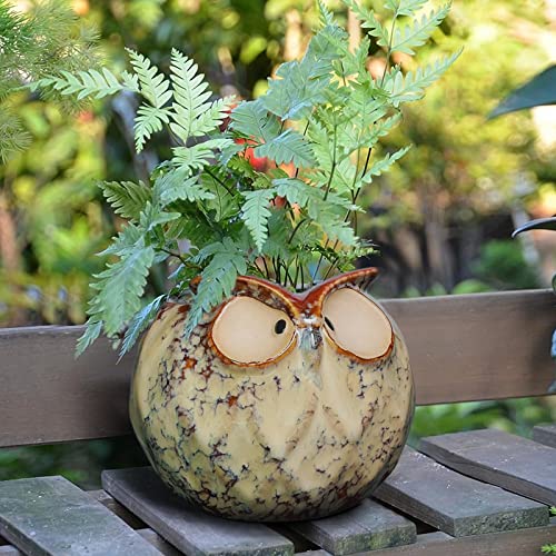 GeLive Owl Planter Ceramic Succulent Plant Pot Fun Animal Flower Container Decoration Tabletop Decor Windowsill Box with Drainage Hole (Round Owl Planter) - Image 2