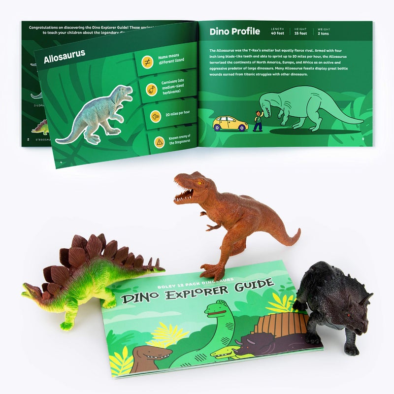 Boley 12 Pack 9-Inch Educational Dinosaur Toys - Kids Realistic Toy Dinosaur Figures for Cool Kids and Toddler Education! (T-Rex, Triceratops, Velociraptor, and More!) - Image 3