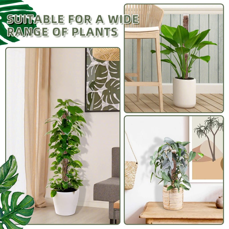 HYYZ Small Moss Pole for Monstera - Stackable & Refillable Plastic Moss Poles for Climbing Plants with Large Mesh Design (4Pack-White-Small) - Image 5