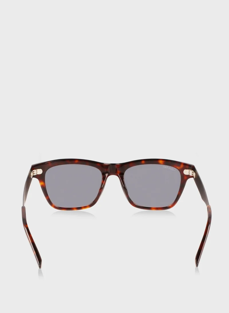 CALVIN KLEIN Wayfarer Sunglasses