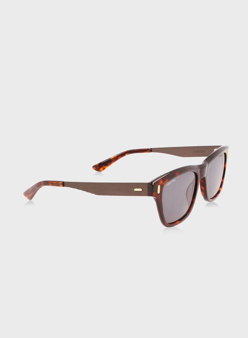 CALVIN KLEIN Wayfarer Sunglasses