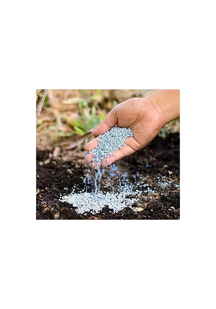 Super Touch Gransol NPK 12-12-17+TE Fertilizer 5kg for Indoor and Outdoor Plants - Image 3