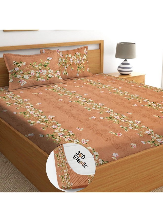 STARNSTYLE 100% Cotton Super Soft 240 Thread Count Elastic Fitted All Around Elastic Printed King Size Double Bed Bedsheet with 2 Pillow Cover 72" X 78" - Image 1