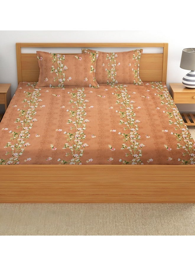 STARNSTYLE 100% Cotton Super Soft 240 Thread Count Elastic Fitted All Around Elastic Printed King Size Double Bed Bedsheet with 2 Pillow Cover 72" X 78" - Image 3