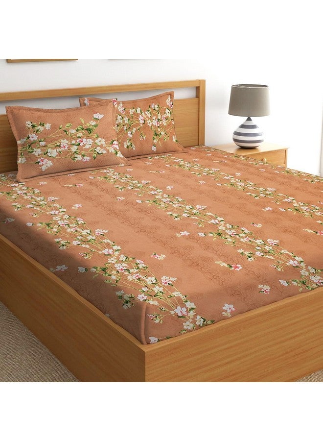 STARNSTYLE 100% Cotton Super Soft 240 Thread Count Elastic Fitted All Around Elastic Printed King Size Double Bed Bedsheet with 2 Pillow Cover 72" X 78" - Image 2