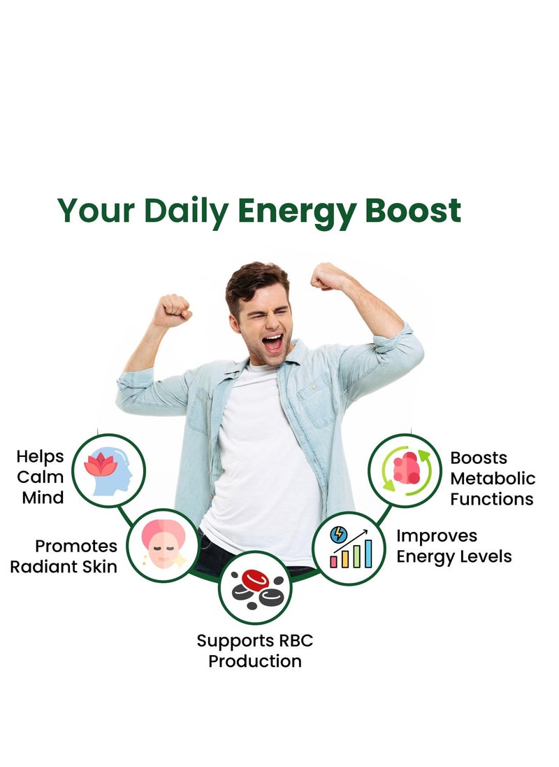 Himalayan organics Himalayan Organics Vitamin B Complex (B1, B2, B3, B5, B6, B7, B9 & B12) Energy and cognitive support, 120 Veg Tablets  - Image 5