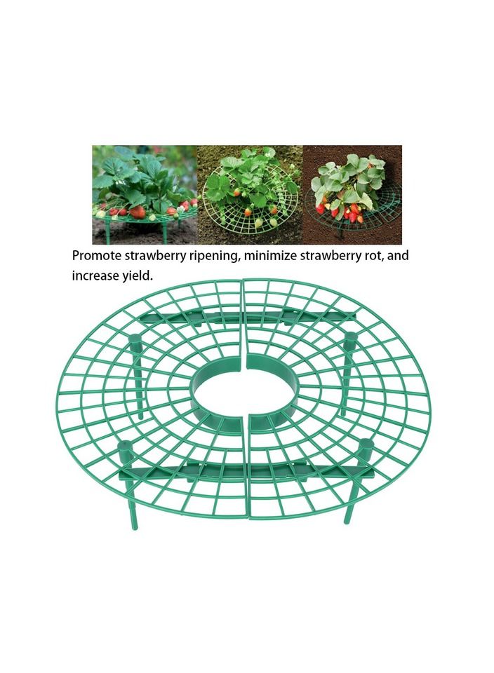 5-Pieces Strawberry Frame Stand Balcony Vegetable Rack Plant Climbing Support Net Gardening Tools - Image 1