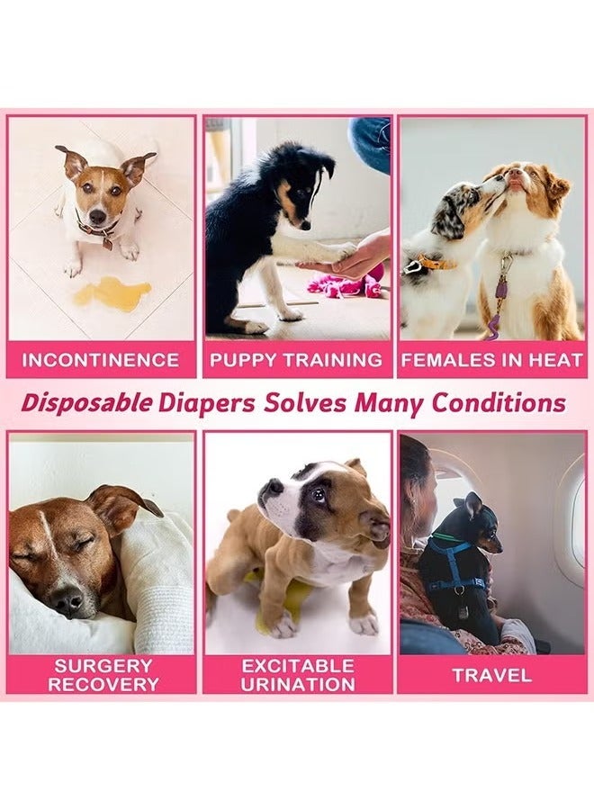 جيرينك 10 قطع حفاضات للحيوانات الأليفة، حفاضات للاستخدام مرة واحدة للكلاب الإناث، مريحة ومضادة للتسرب، حفاضات فائقة الامتصاص للكلاب، تدفئة ناعمة وحفاضات، حفاضات صحية للكلاب من لب الخشب، لفافات قابلة للتعديل للكلاب الإناث، حفاضات ناعمة للكلاب الأليفة، خصر 20-40 سم - Image 3