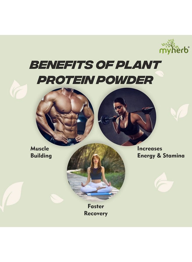 MYHERB Plant Protein Powder | Pea And Brown Rice Protein Powder | Vegan High Protein Powder | 27 gm Protien,21 Vital,6 gm BCCAs | Sugar Free | For Men and Women | Chocolate Flavour (1 Kg) - Image 4