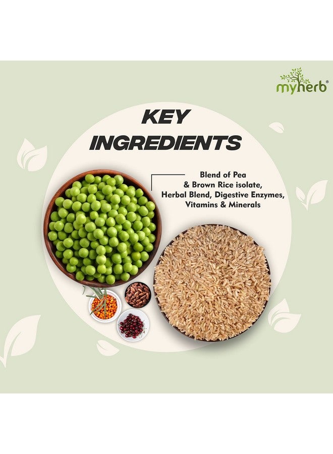 MYHERB Plant Protein Powder | Pea And Brown Rice Protein Powder | Vegan High Protein Powder | 27 gm Protien,21 Vital,6 gm BCCAs | Sugar Free | For Men and Women | Chocolate Flavour (1 Kg) - Image 3