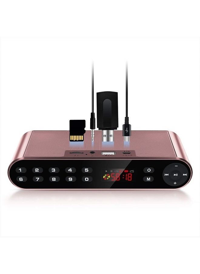 Bluetooth Speaker,FM Radio Player,MP3 Player Stereo Portable Wireless Speaker Drivers with HD Sound, Built-in Microphone, High Definition Audio and Enhanced Bass(Black) (Pink)
