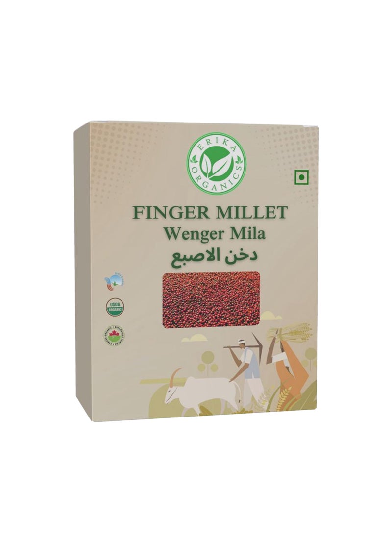 إريكا أورجانيكس الدخن الإصبعي - Image 3