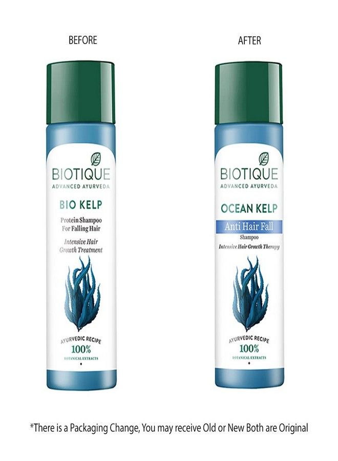 Biotique Biotique ocean Kelp Shampoo for anti Hair fall Intensive Hair Regrowth Treatment, 190ml - Image 2