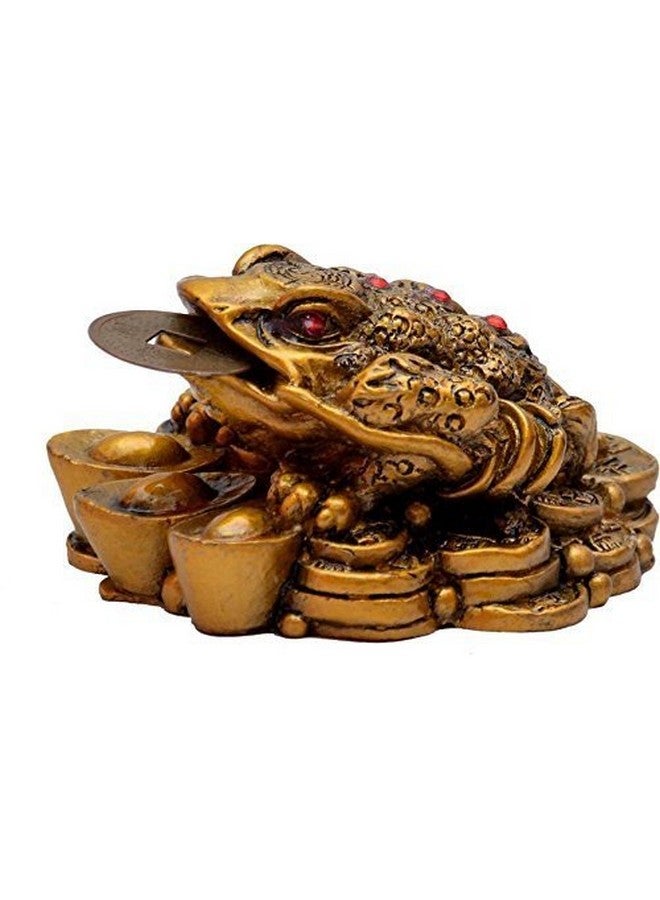 GJ Money Frog with Coin Showpiece - Image 2