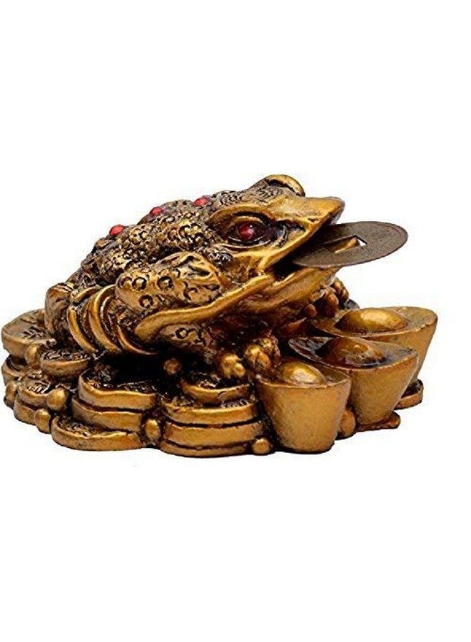 GJ Money Frog with Coin Showpiece - Image 1